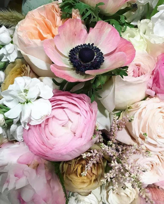 Valentines Day Special