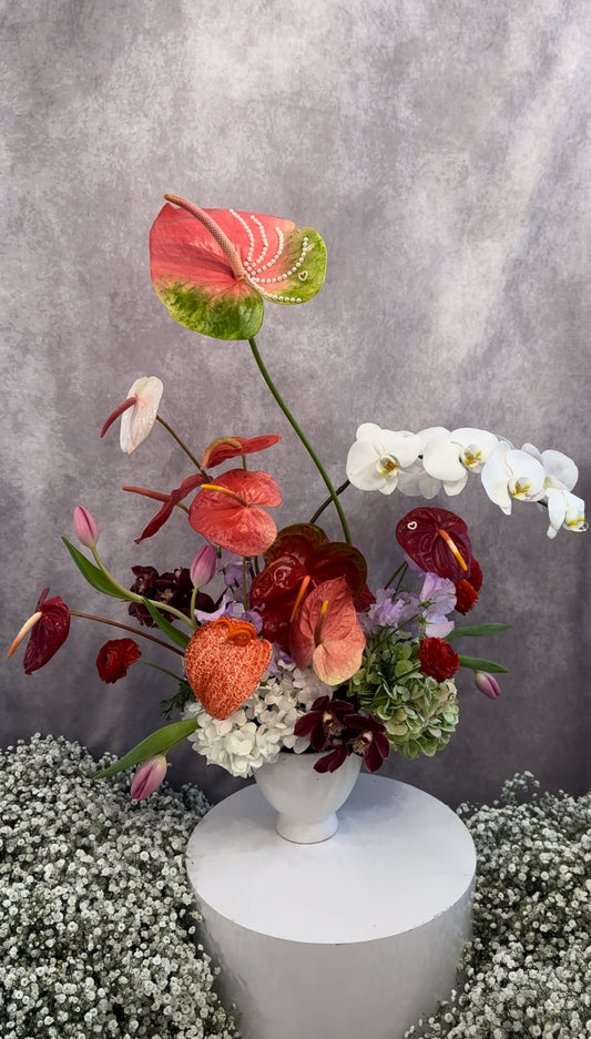 Designer's Choice Special