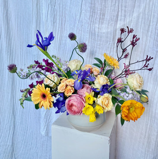 Designer's Choice Special